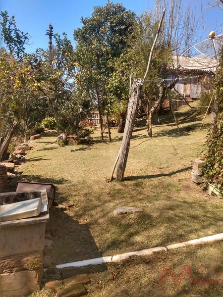 Casa a venda em Canela.: 15ª foto da galeria de imagens do imóvel