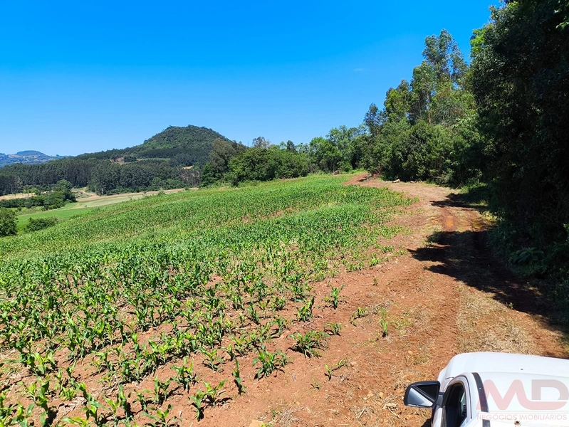 # sitio , aréa rural em gramado rs venda: 12ª foto da galeria de imagens do imóvel