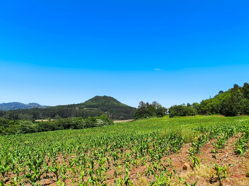 # sitio , aréa rural em gramado rs venda: 7ª foto da galeria de imagens do imóvel