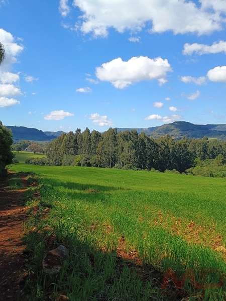 # sitio , aréa rural em gramado rs venda: 18ª foto da galeria de imagens do imóvel