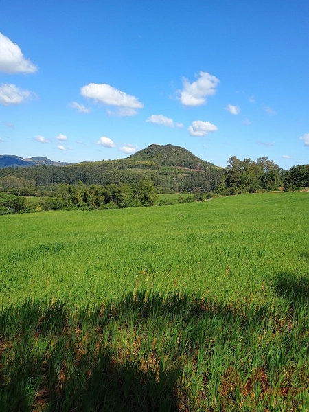 # sitio , aréa rural em gramado rs venda: 17ª foto da galeria de imagens do imóvel