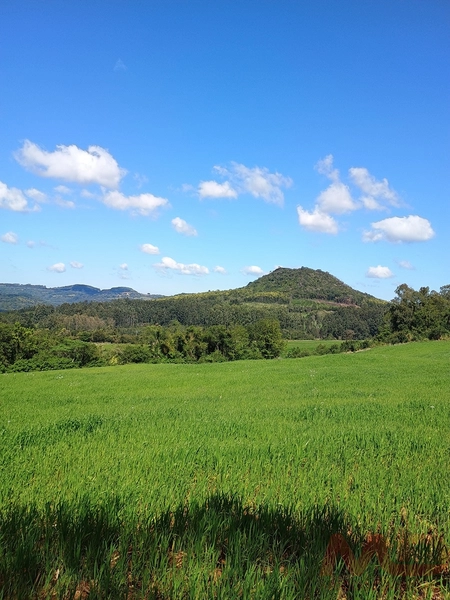 # sitio , aréa rural em gramado rs venda: 21ª foto da galeria de imagens do imóvel