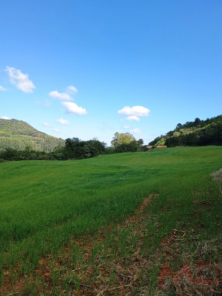 # sitio , aréa rural em gramado rs venda: 25ª foto da galeria de imagens do imóvel