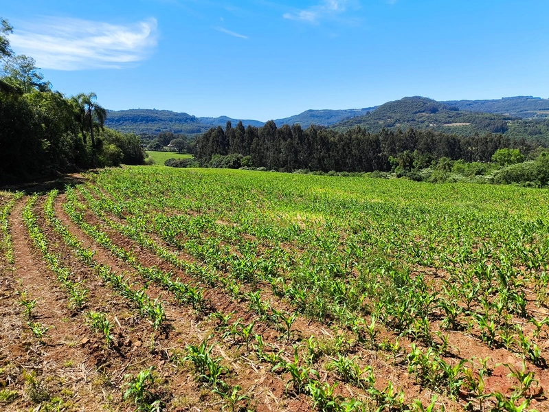 # sitio , aréa rural em gramado rs venda: 15ª foto da galeria de imagens do imóvel