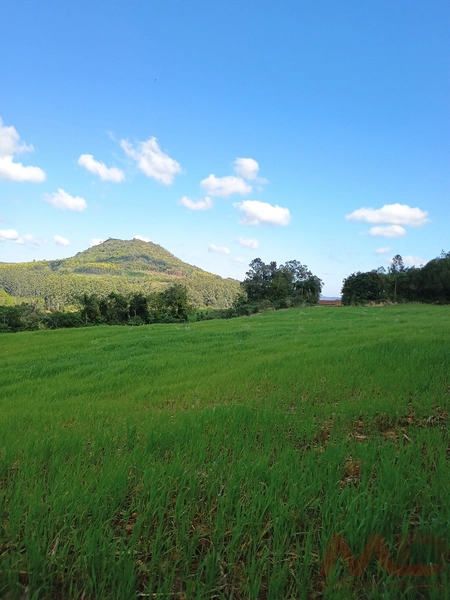 # sitio , aréa rural em gramado rs venda: 22ª foto da galeria de imagens do imóvel