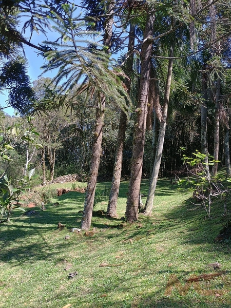 vende se sitio em gramado rs : 16ª foto da galeria de imagens do imóvel