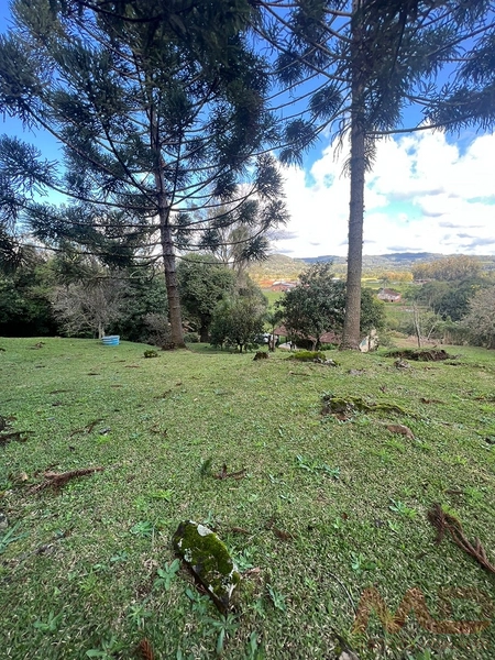 vende se sitio em gramado rs : 8ª foto da galeria de imagens do imóvel