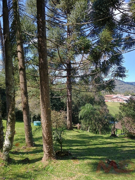 vende se sitio em gramado rs : 22ª foto da galeria de imagens do imóvel