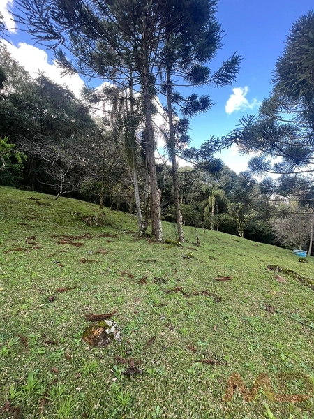 vende se sitio em gramado rs : 4ª foto da galeria de imagens do imóvel