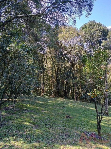 vende se sitio em gramado rs : 18ª foto da galeria de imagens do imóvel