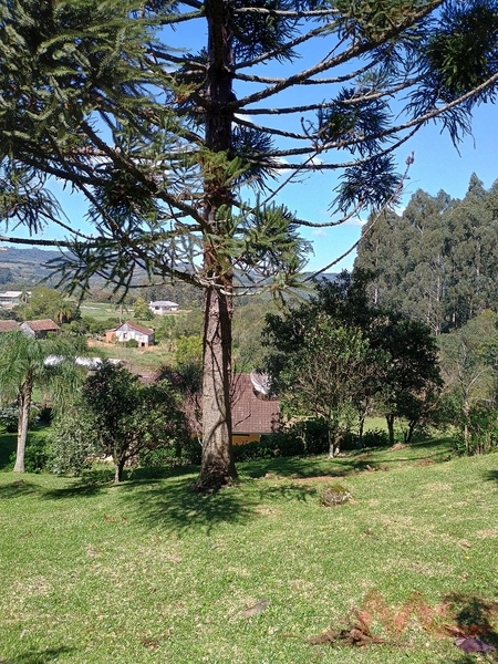 vende se sitio em gramado rs : 15ª foto da galeria de imagens do imóvel