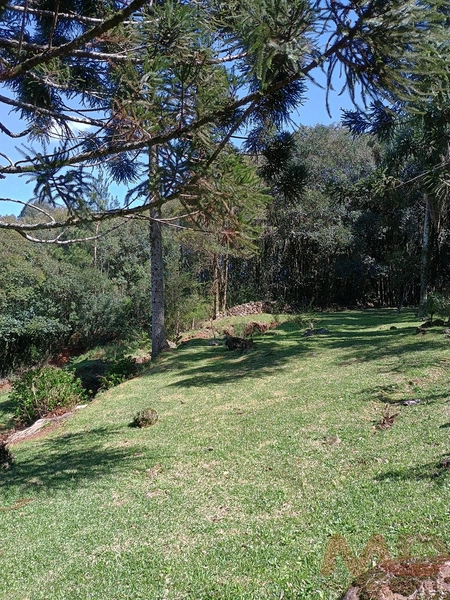 vende se sitio em gramado rs : 14ª foto da galeria de imagens do imóvel