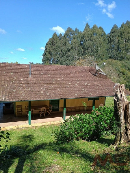 vende se sitio em gramado rs : 13ª foto da galeria de imagens do imóvel