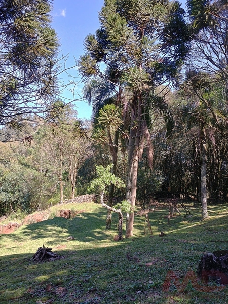 vende se sitio em gramado rs : 20ª foto da galeria de imagens do imóvel