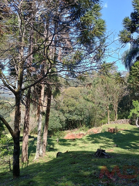 vende se sitio em gramado rs : 19ª foto da galeria de imagens do imóvel