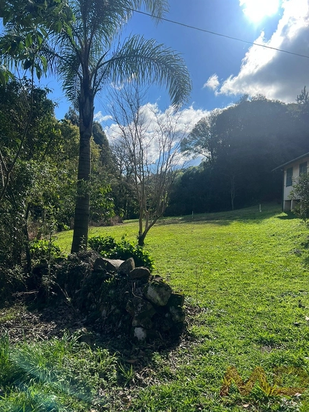 vende se sitio em gramado rs : 9ª foto da galeria de imagens do imóvel