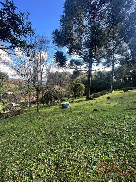 vende se sitio em gramado rs : 10ª foto da galeria de imagens do imóvel