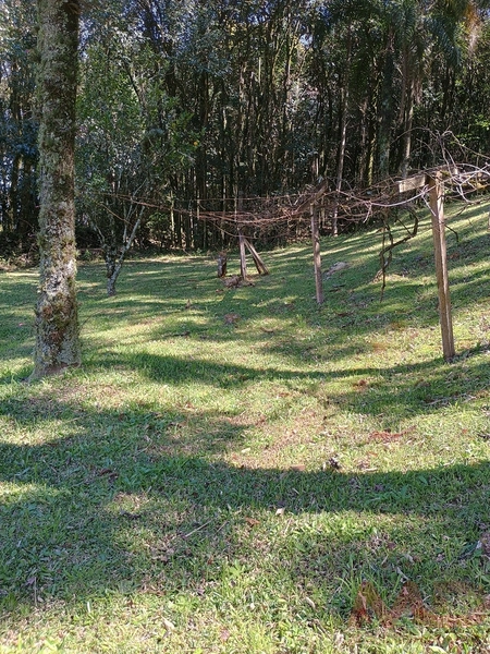 vende se sitio em gramado rs : 23ª foto da galeria de imagens do imóvel