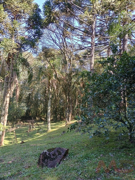 vende se sitio em gramado rs : 17ª foto da galeria de imagens do imóvel