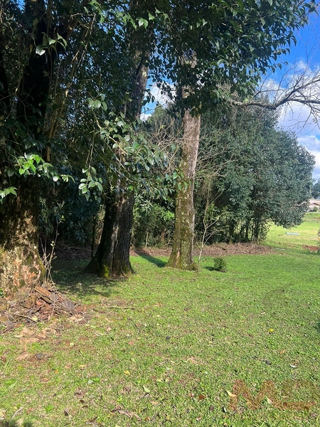vende se sitio em gramado rs : 3ª foto da galeria de imagens do imóvel