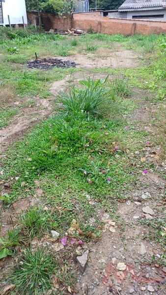 CASA DE MADEIRA 2 DORMITÓRIOS A VENDA EM CANELA RS NO CENTRO: 13ª foto da galeria de imagens do imóvel