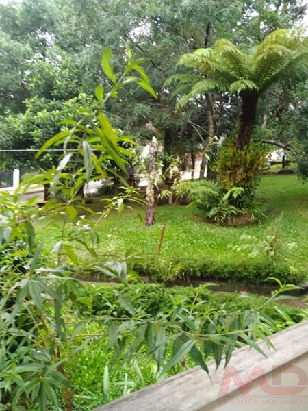Casa a venda em Canela.: 1ª foto da galeria de imagens do imóvel