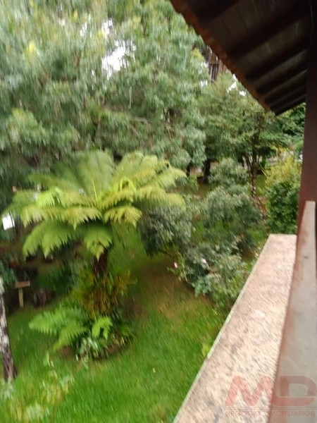 Casa a venda em Canela.: 2ª foto da galeria de imagens do imóvel