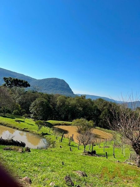 SITIO EM CANELA RS 10 MINUTOS DA CATERDRAL DE PEDRA: 10ª foto da galeria de imagens do imóvel
