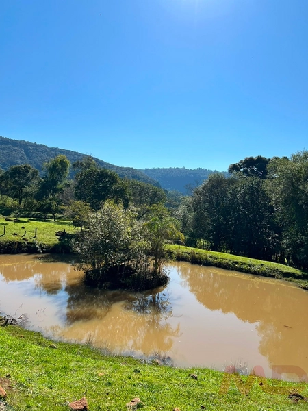 SITIO EM CANELA RS 10 MINUTOS DA CATERDRAL DE PEDRA: 8ª foto da galeria de imagens do imóvel