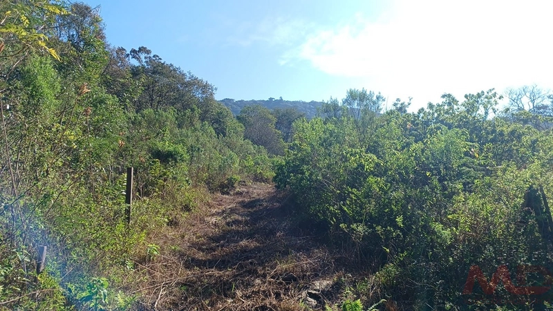 SITIO EM CANELA RS 10 MINUTOS DA CATERDRAL DE PEDRA: 53ª foto da galeria de imagens do imóvel