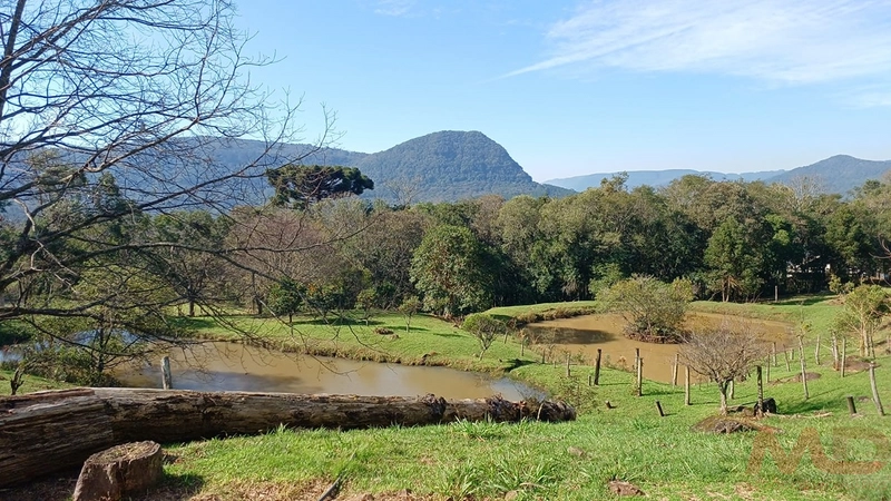 SITIO EM CANELA RS 10 MINUTOS DA CATERDRAL DE PEDRA: 41ª foto da galeria de imagens do imóvel