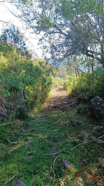 SITIO EM CANELA RS 10 MINUTOS DA CATERDRAL DE PEDRA: 52ª foto da galeria de imagens do imóvel