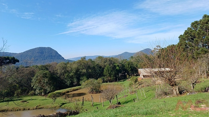 SITIO EM CANELA RS 10 MINUTOS DA CATERDRAL DE PEDRA: 42ª foto da galeria de imagens do imóvel