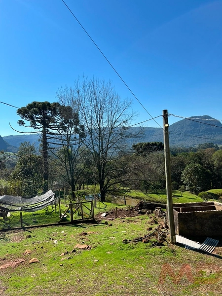 SITIO EM CANELA RS 10 MINUTOS DA CATERDRAL DE PEDRA: 6ª foto da galeria de imagens do imóvel