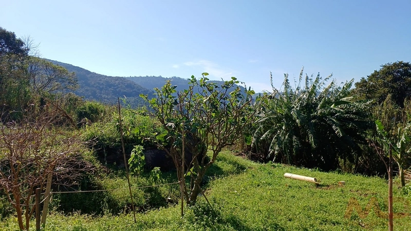 SITIO EM CANELA RS 10 MINUTOS DA CATERDRAL DE PEDRA: 46ª foto da galeria de imagens do imóvel