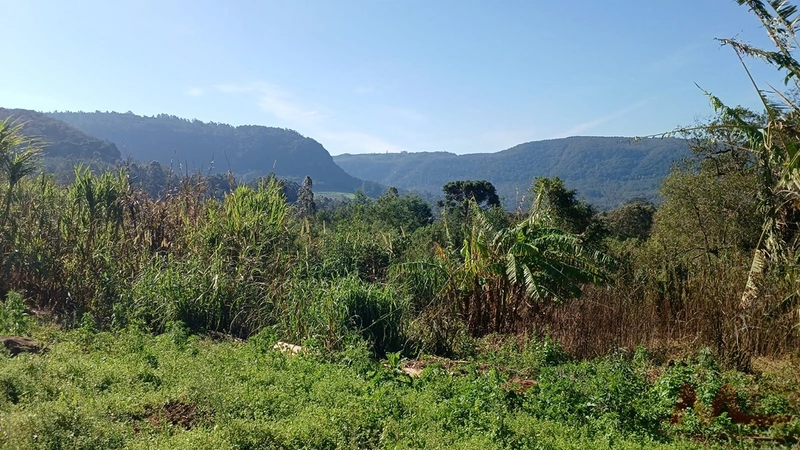 SITIO EM CANELA RS 10 MINUTOS DA CATERDRAL DE PEDRA: 47ª foto da galeria de imagens do imóvel