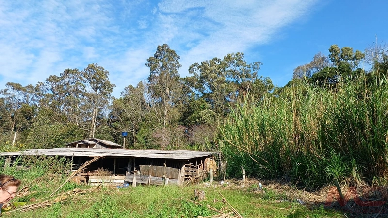 SITIO EM CANELA RS 10 MINUTOS DA CATERDRAL DE PEDRA: 48ª foto da galeria de imagens do imóvel