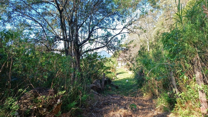 SITIO EM CANELA RS 10 MINUTOS DA CATERDRAL DE PEDRA: 55ª foto da galeria de imagens do imóvel
