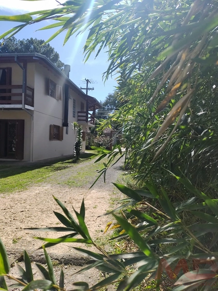 vende casa em canela rs: 2ª foto da galeria de imagens do imóvel