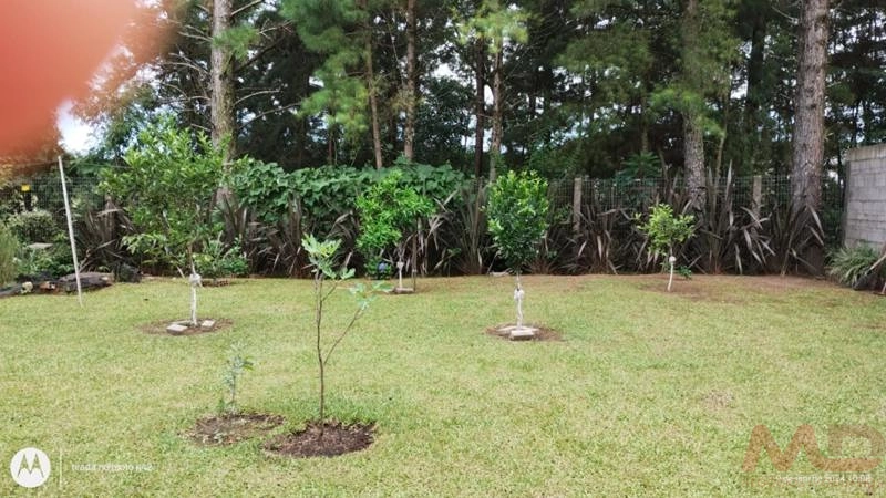 Casa a venda em Canela.: 10ª foto da galeria de imagens do imóvel