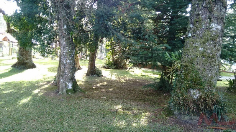 Casa a venda em Canela.: 41ª foto da galeria de imagens do imóvel