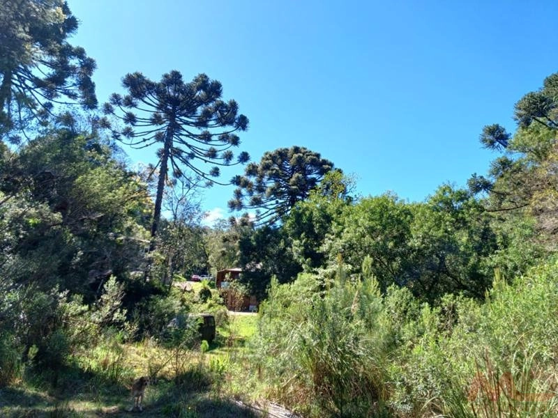 Casa a venda em Canela.: 9ª foto da galeria de imagens do imóvel