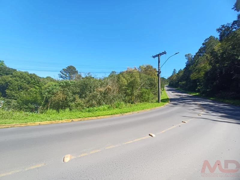 Casa a venda em Canela.: 11ª foto da galeria de imagens do imóvel