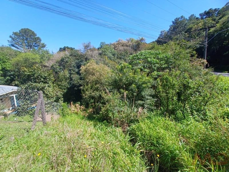 Casa a venda em Canela.: 2ª foto da galeria de imagens do imóvel