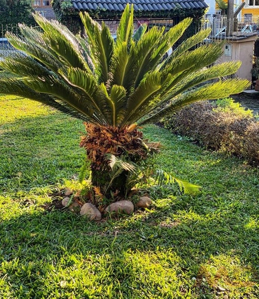 Casa a venda em Canela.: 13ª foto da galeria de imagens do imóvel