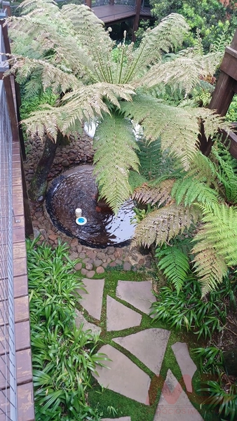 APARTAMENTO NO CENTRO DE GRAMADO RS 5 DORMITÓRIOS: 9ª foto da galeria de imagens do imóvel