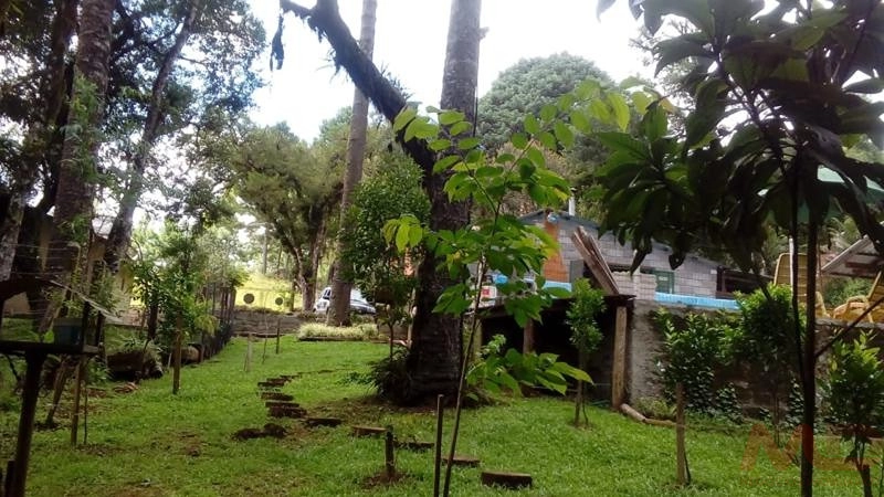Casa a venda em Canela : 17ª foto da galeria de imagens do imóvel