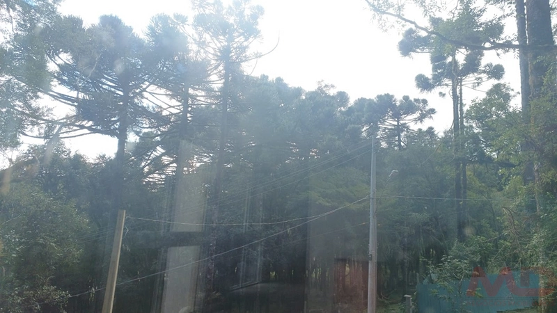 CASA EM CONDOMINIO EM CANELA RS: 14ª foto da galeria de imagens do imóvel