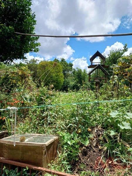Casa a venda em Canela.: 2ª foto da galeria de imagens do imóvel
