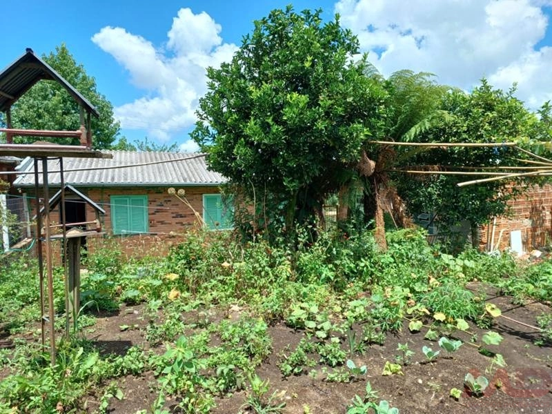 Casa a venda em Canela.: 17ª foto da galeria de imagens do imóvel